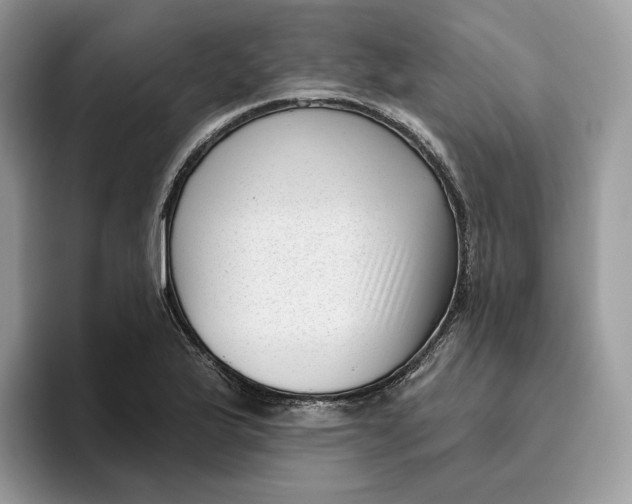 X0000095961175200802011116