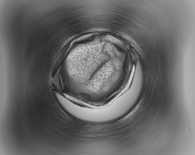 X0000095961177200802011116