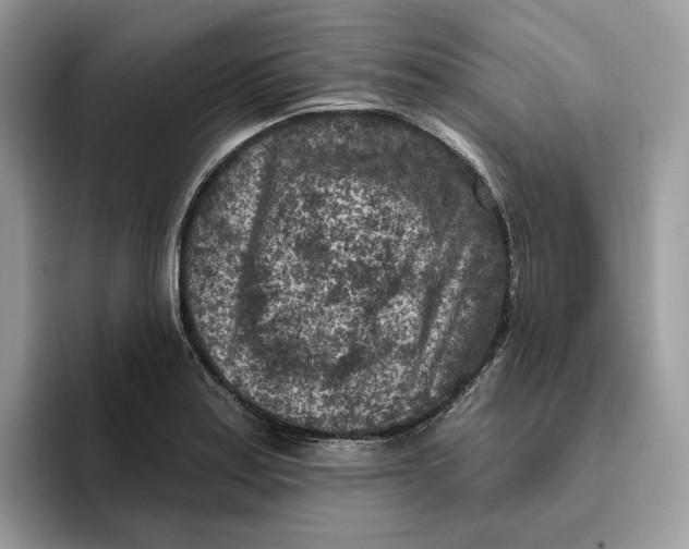 X0000095961179200802011116