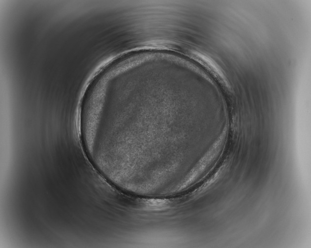 X0000095961180200802011116