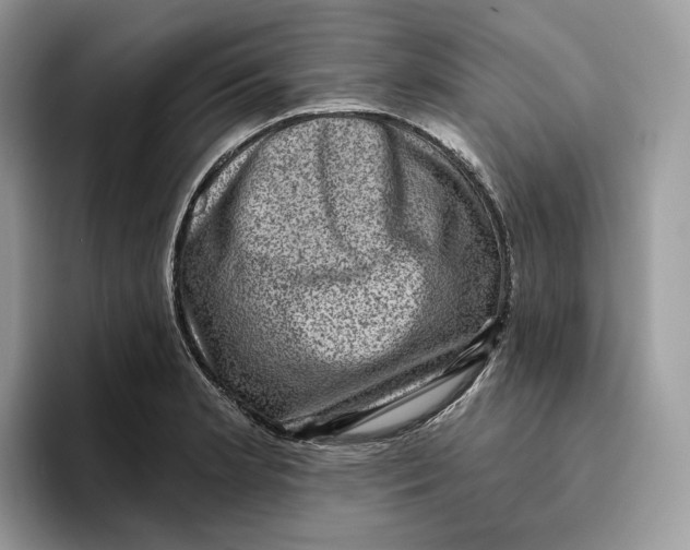 X0000095961181200802011116