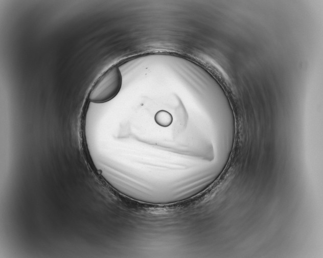 X0000095961182200802011116