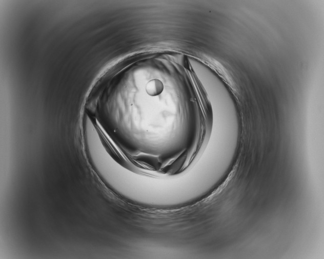 X0000095961184200802011116