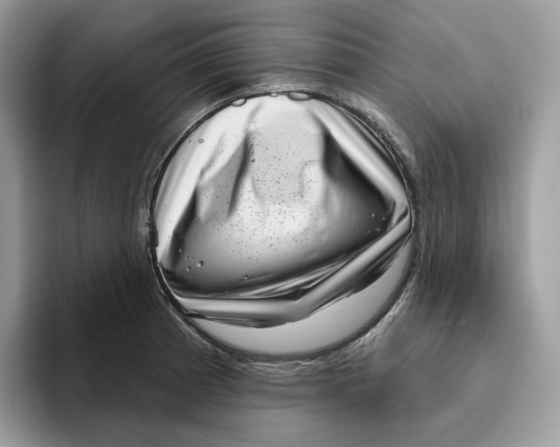 X0000095961185200802011116