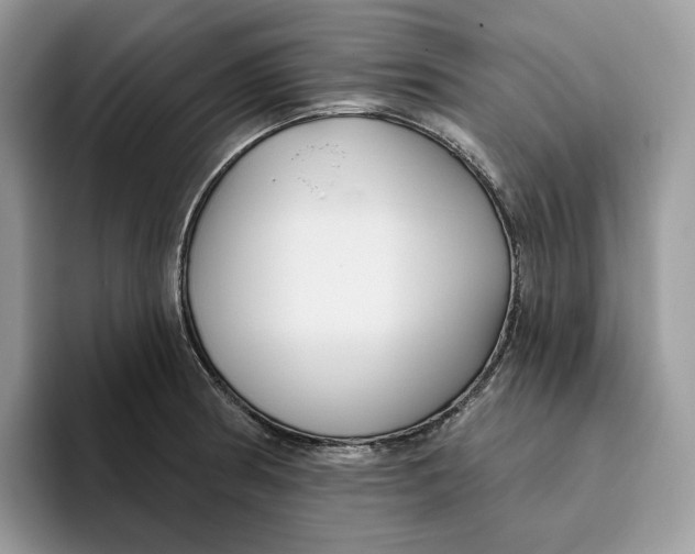 X0000095961186200802011116