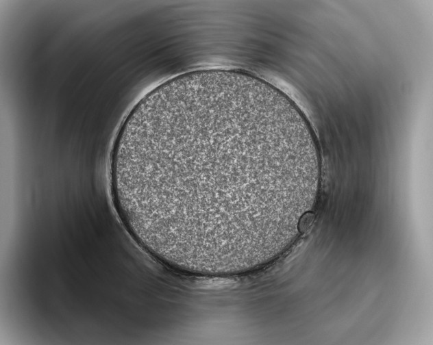 X0000095961187200802011116