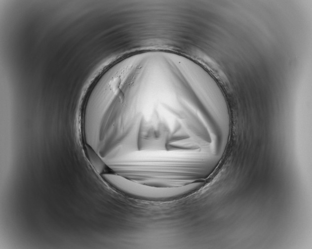 X0000095961188200802011116