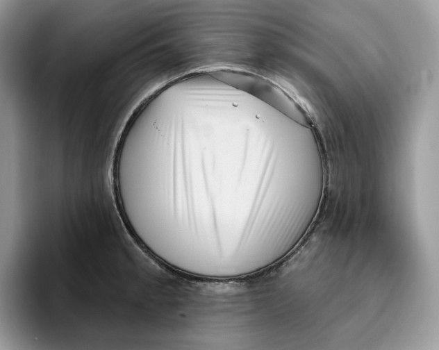 X0000095961189200802011116