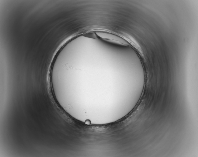 X0000095961190200802011116