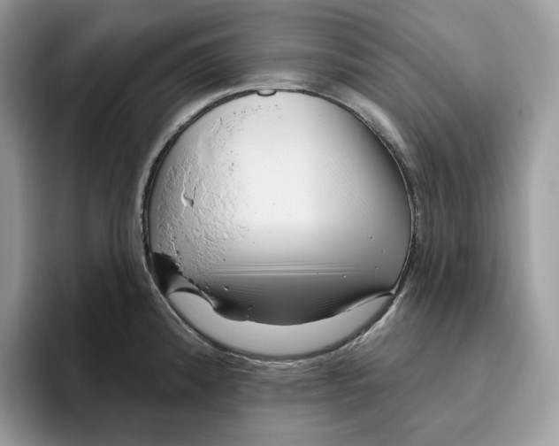 X0000095961192200802011116