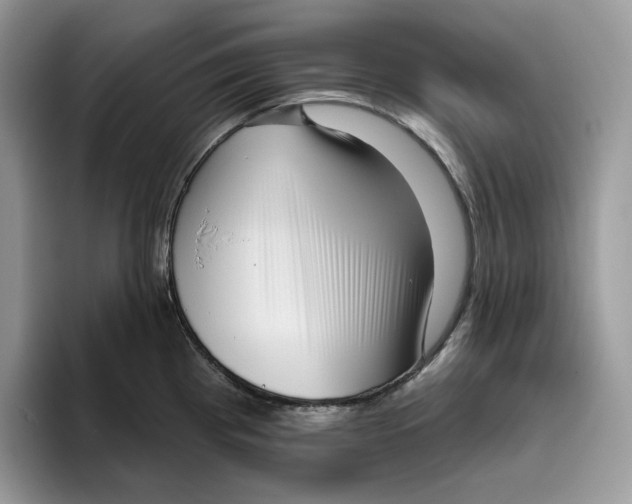 X0000095961193200802011116