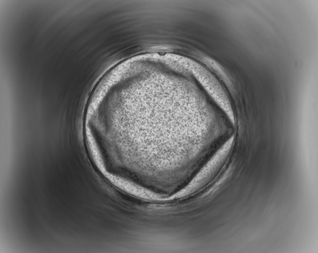 X0000095961194200802011116