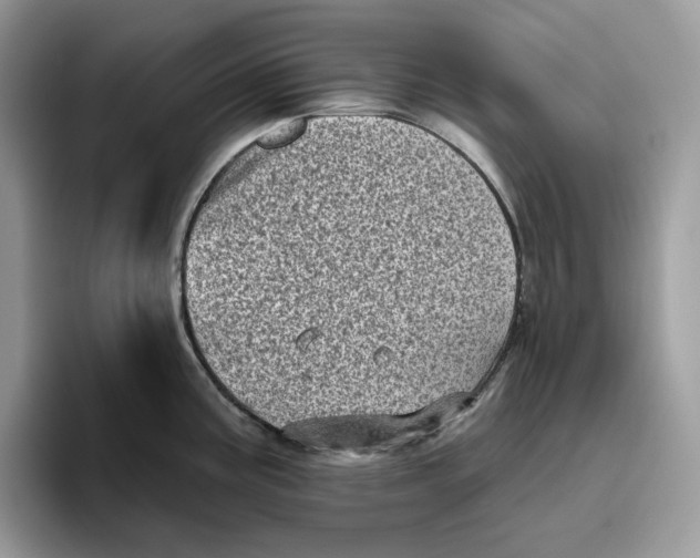 X0000095961195200802011116