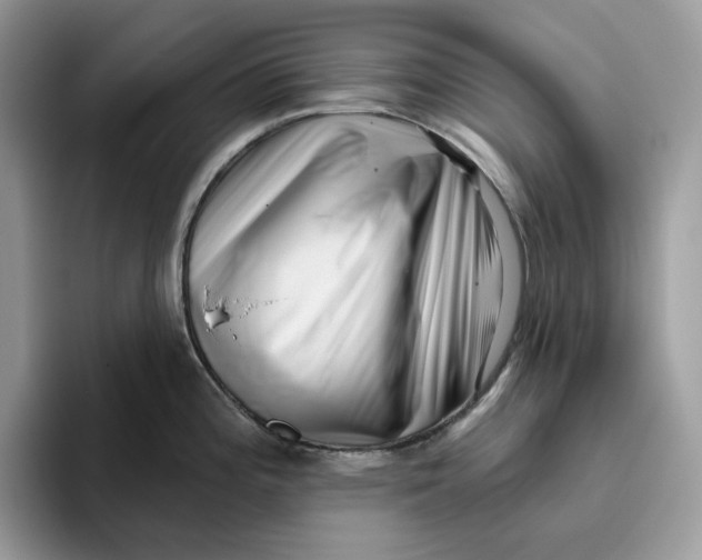 X0000095961196200802011115