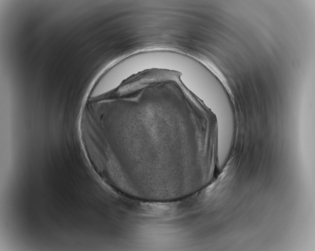 X0000095961197200802011115