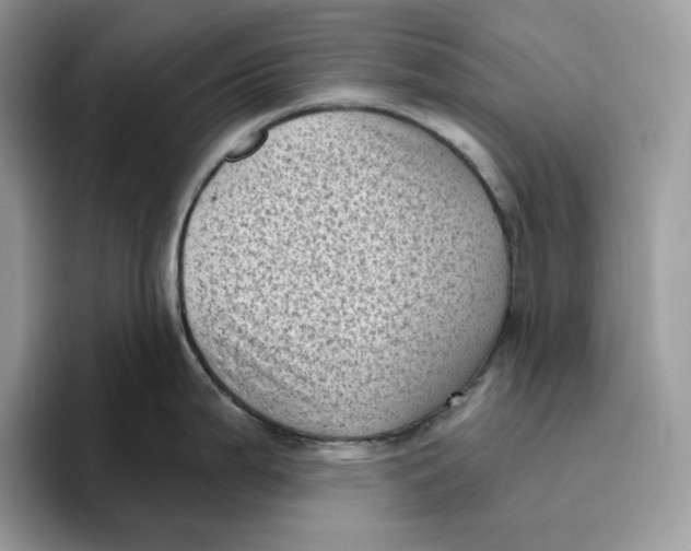 X0000095961199200802011115