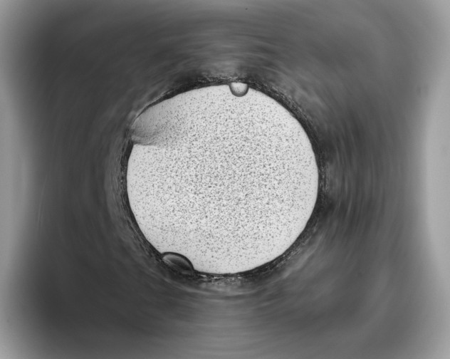 X0000095961201200802011115