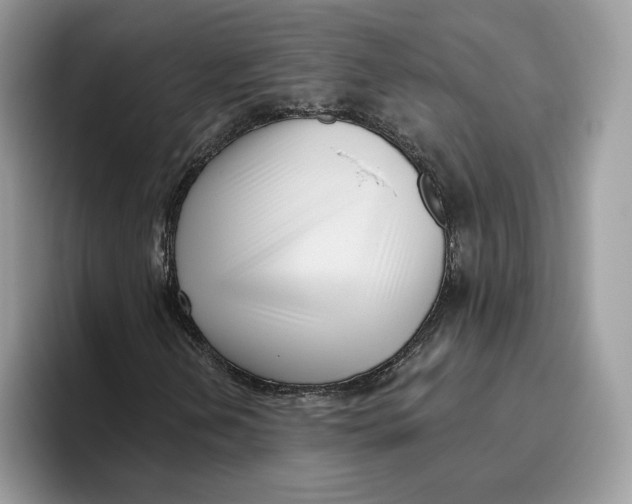 X0000095961202200802011115