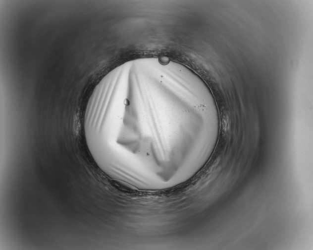 X0000095961204200802011115