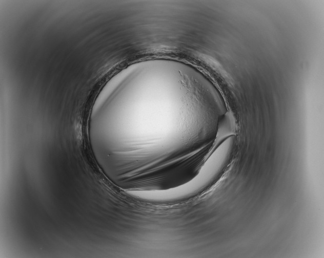 X0000095961209200802011115