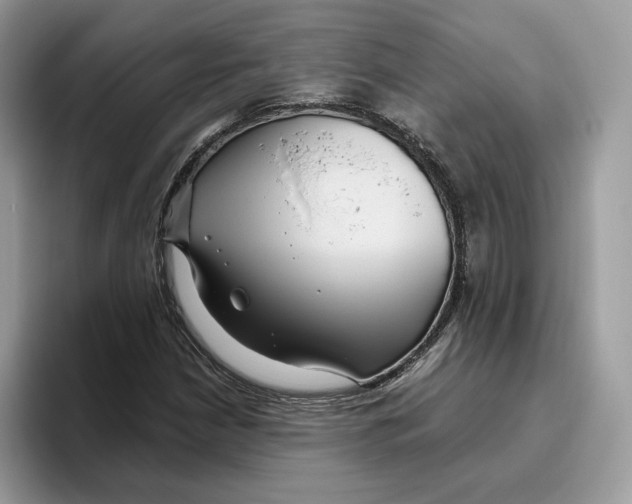 X0000095961210200802011115