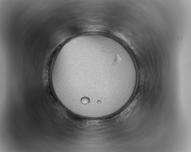 X0000095961211200802011115