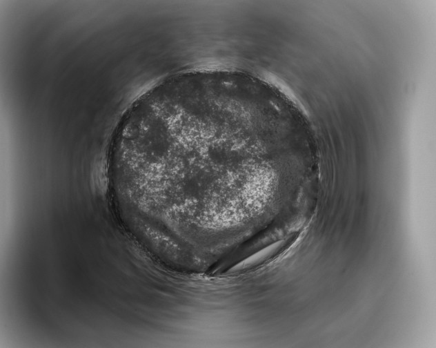 X0000095961213200802011115