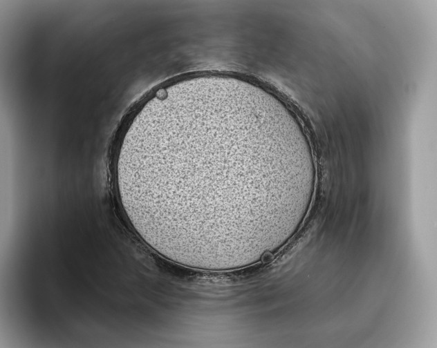 X0000095961215200802011115