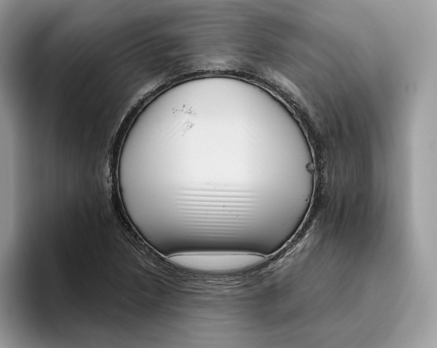 X0000095961218200802011115