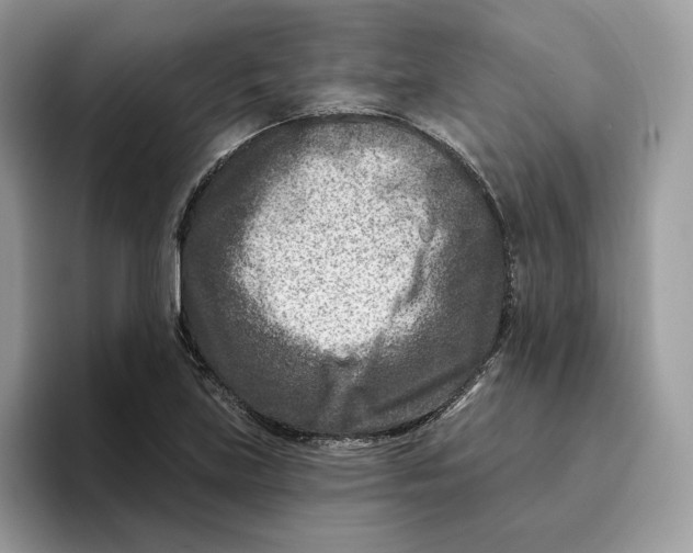 X0000095961219200802011115