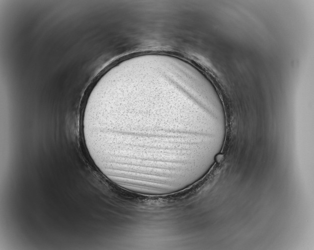 X0000095961220200802011115