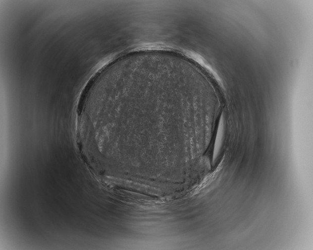 X0000095961221200802011115