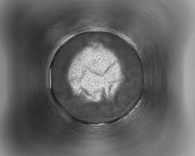 X0000095961223200802011115