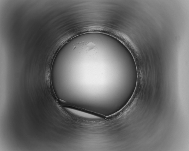 X0000095961225200802011115