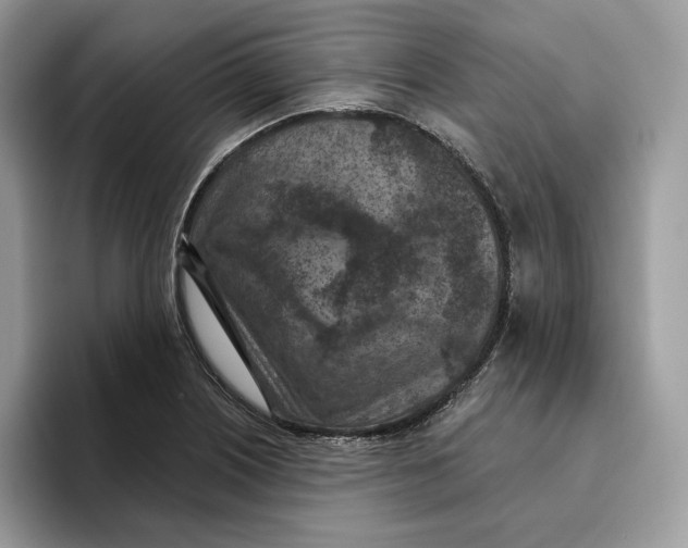 X0000095961226200802011115