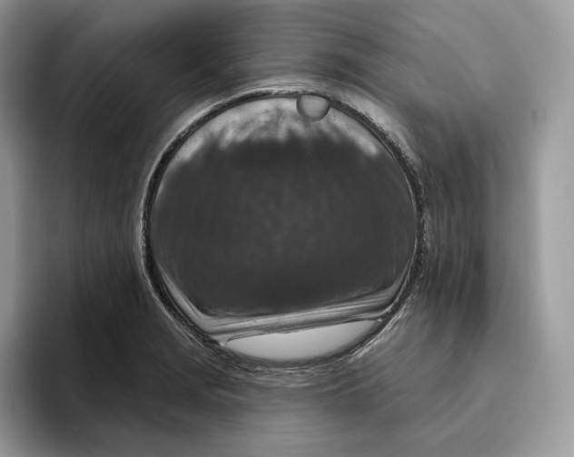 X0000095961229200802011115