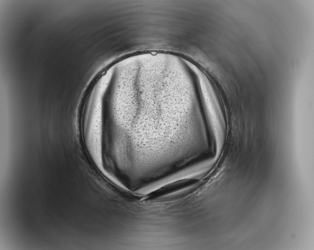 X0000095961230200802011115