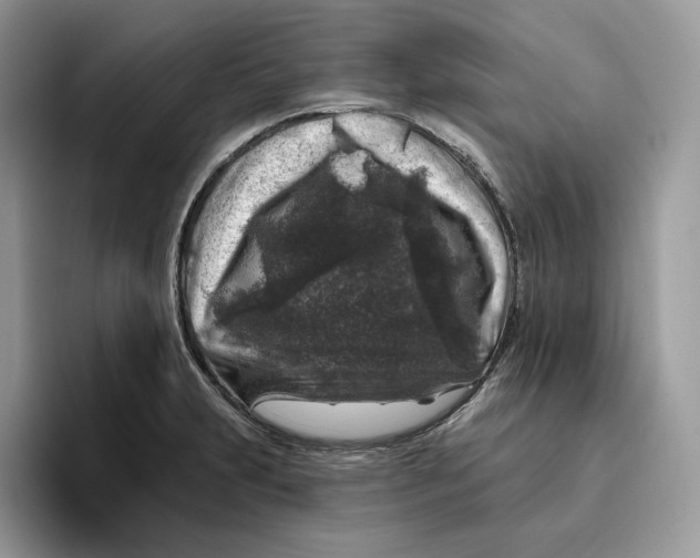 X0000095961231200802011115