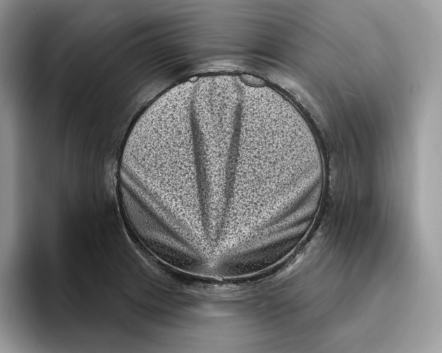 X0000095961233200802011115