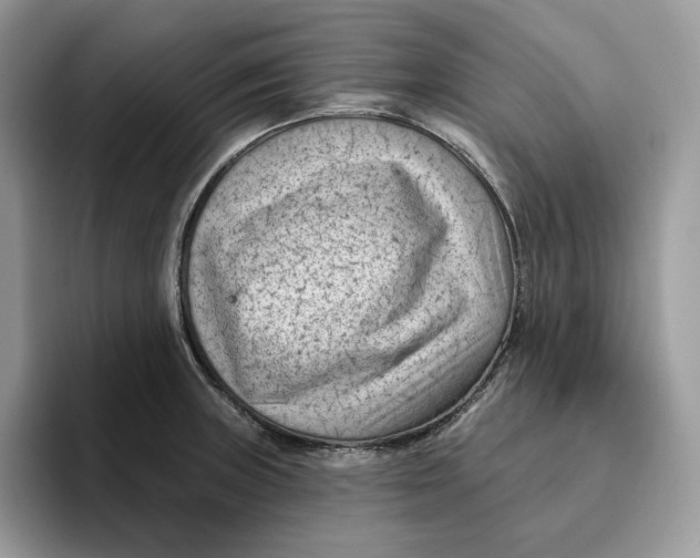 X0000095961235200802011115