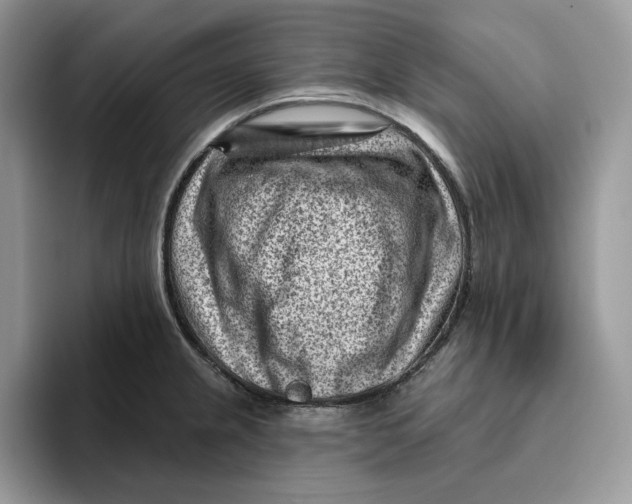 X0000095961237200802011115