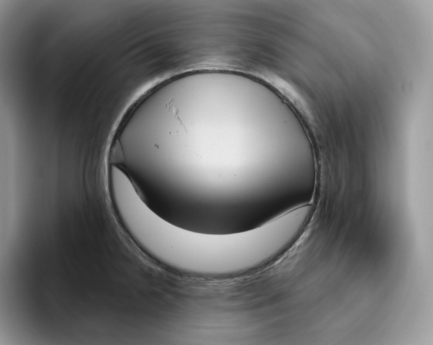 X0000095961238200802011115