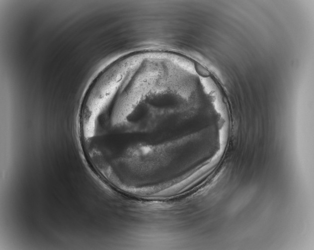 X0000095961239200802011115