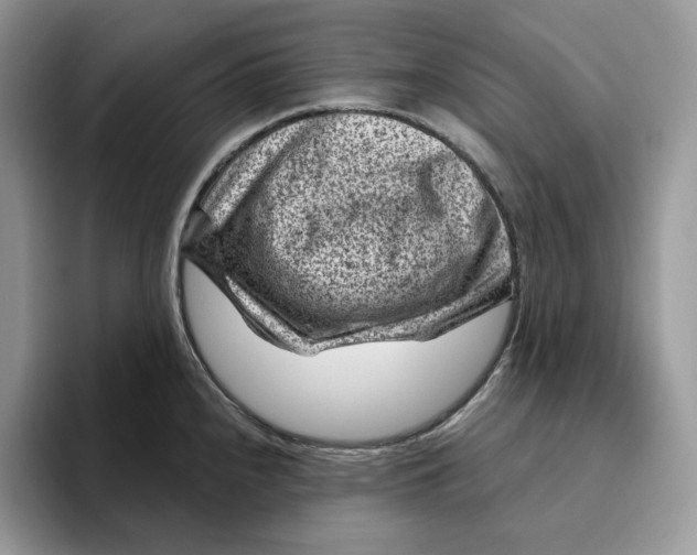 X0000095961240200802011115