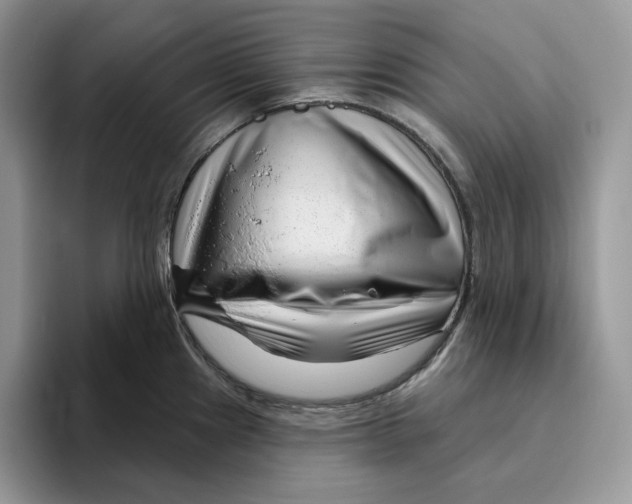 X0000095961241200802011115