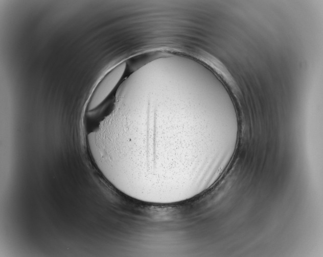 X0000095961242200802011115