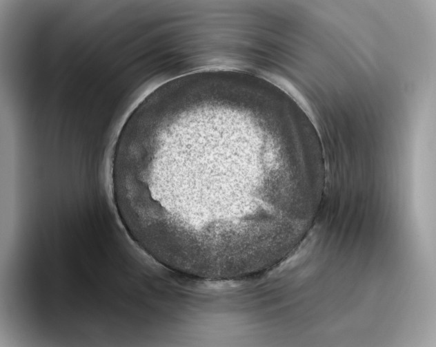 X0000095961243200802011115