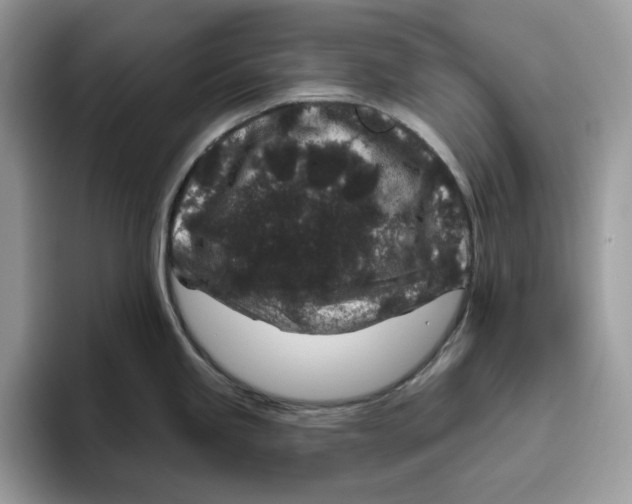 X0000095961245200802011115