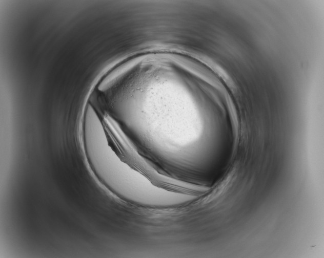 X0000095961247200802011115