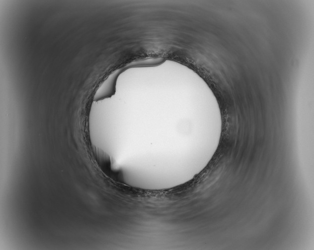 X0000095961249200802011115